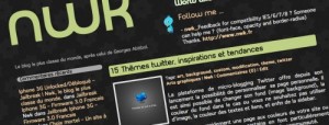 expert wordpress theme seo
